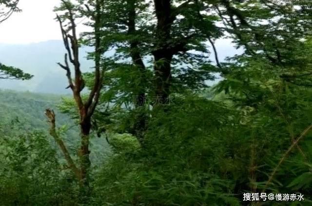 光伏570板一天能发多少瓦？游戏画面